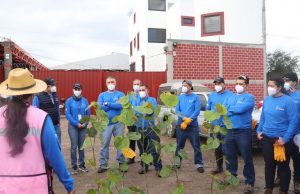 Arrancan programa de arborización en la Federal 57