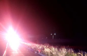 Don Apolonio de 50 años murió arrollado