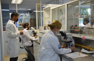 Ya suman 21 casos de viruela símica