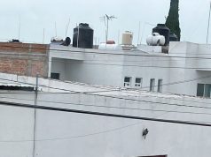 Mujer es localizada sin vida en el interior de un domicilio de San José Iturbide