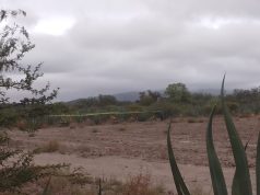 Localizan a masculino sin vida en camino a San Martín