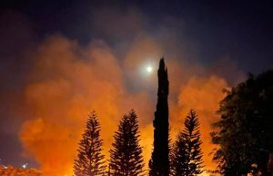 Incendio en Santa Catarina consumió una hectárea y media de vegetación