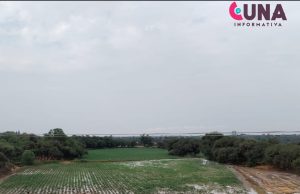 Ante falta de lluvias piden supervisar vuelo de avionetas y uso de cuetes