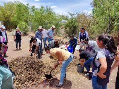 Motivan y capacitan en la implementación de huertos de traspatio