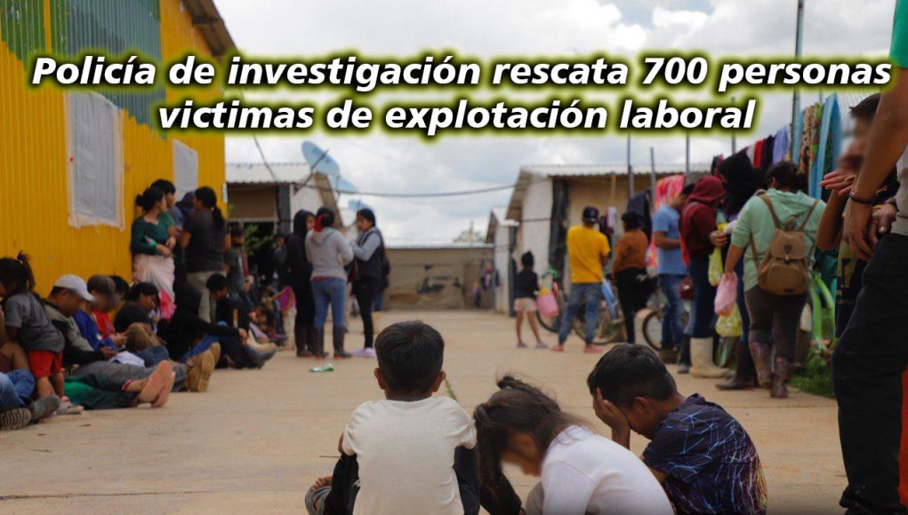 liberan 700 personas