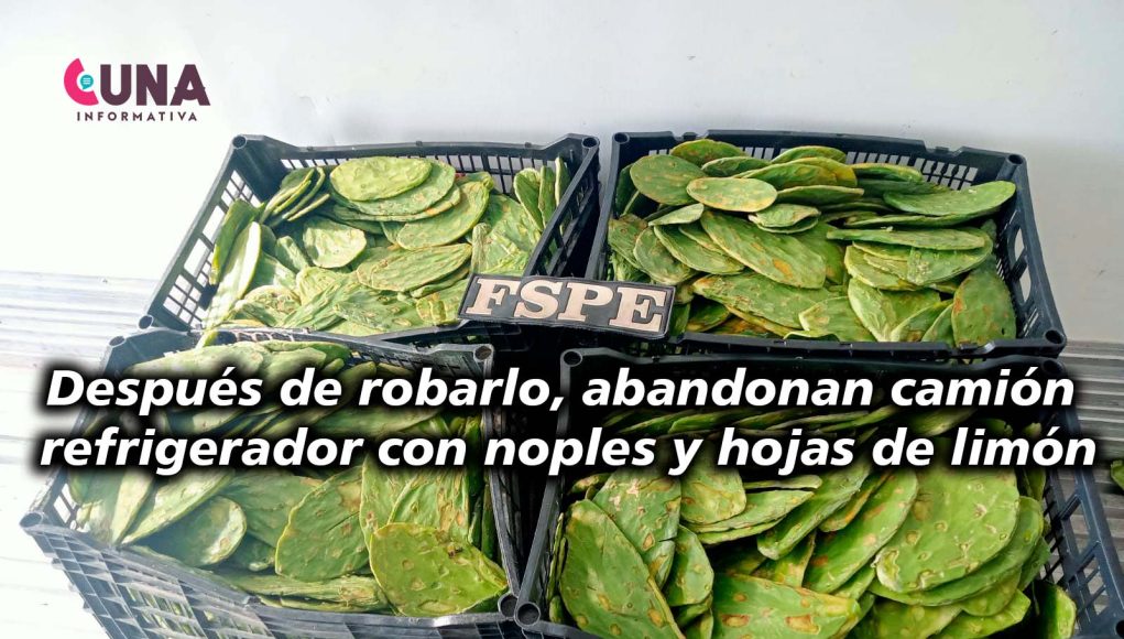 recuperan nopales y hojas de limón 2