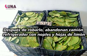 Delincuentes abandonan carga de nopales y hojas de limón