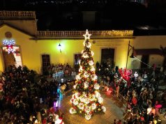 Con encendido de árbol, comienzan festejos navideños iturbidenses