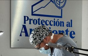 Esterilizar también es cuidar: San Luis de la Paz avanza en la protección animal