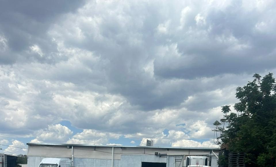 Cateo en León asesuran más de 19 mil piezas de cerveza en León 02